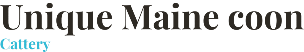 Unique Maine coon Cattery